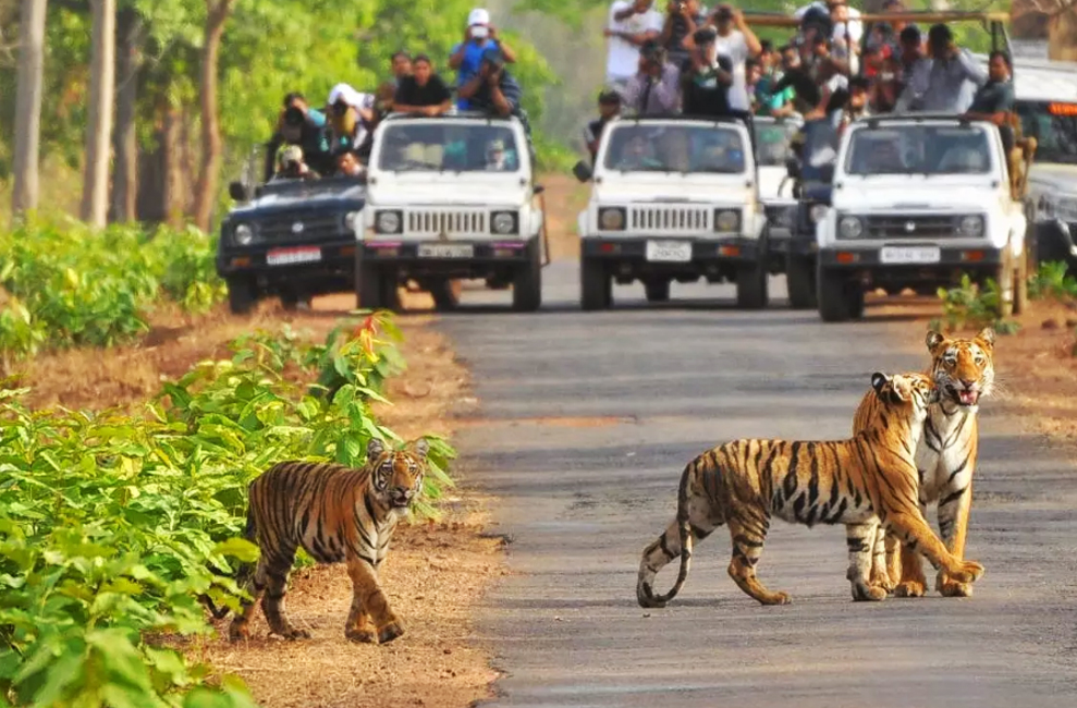 Jim Corbett